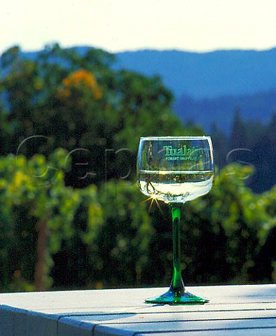 Glass of Tualatin Riesling Washington Co Oregon