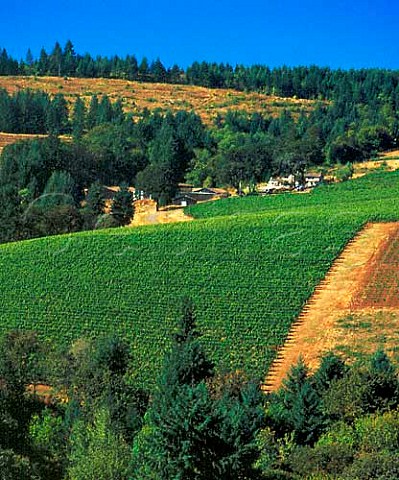 Erath vineyards and winery in the Red Hills  near Dundee Yamhill Co Oregon  Willamette Valley AVA