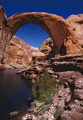 Two people below Rainbow Bridge 309 feet high on the edge of Lake Powell Utah USA