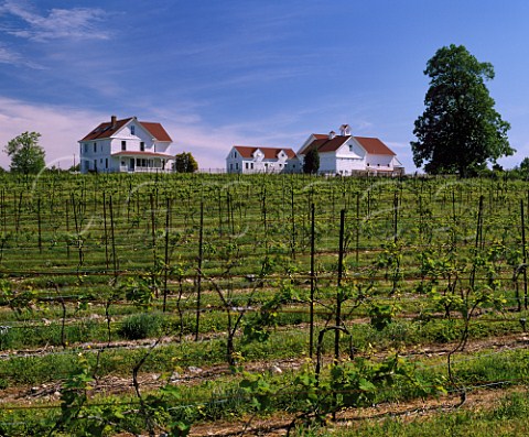 Jonathan Edwards winery and vineyard North Stonington Connecticut USA
