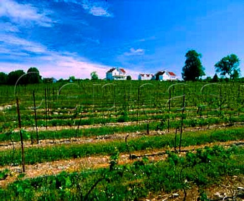 Jonathan Edwards winery and vineyard North Stonington Connecticut USA