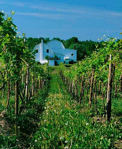 Vineyard and building of The Pleasant Valley Wine Company near Hammondsport on the western side of Lake Keuka New York USA    Finger Lakes