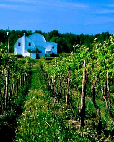 Vineyard and traditional building of The Pleasant Valley Wine Company on the western side of Lake Keuka New York   USA     Finger Lakes