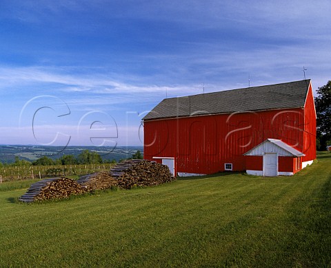 Barn and vine stakes on the western side of Lake   Keuka New York Finger Lakes