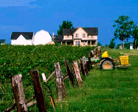 Spraying in vineyard of The Pleasant Valley Wine Company on the west side of Lake Keuka New York Finger Lakes