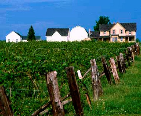 Vineyard and buildings of The Pleasant Valley Wine Company on the west side of Lake Keuka New York Finger Lakes