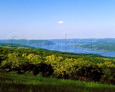 View from the top of Bully Hill 1700 ft on the   west side of Keuka Lake New York USA Finger   Lakes