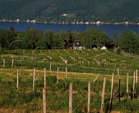 Bully Hill Vineyards on the west side of Keuka Lake Hammondsport New York USA Finger Lakes