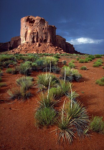 Monument Valley Arizona USA