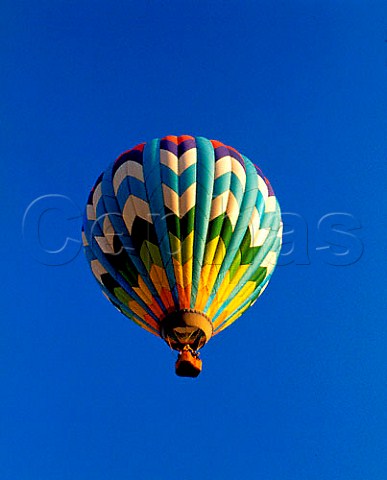 Hotair balloon over vineyards of Napa Valley   California