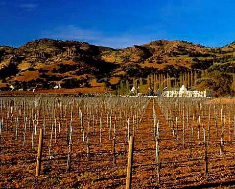 Chimney Rock vineyard and winery Silverado Trail   Napa California