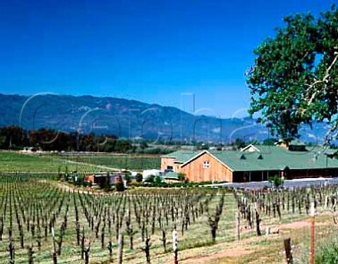Domaine Mumm winery and vineyards on the Silverado   Trail Napa California            Napa Valley