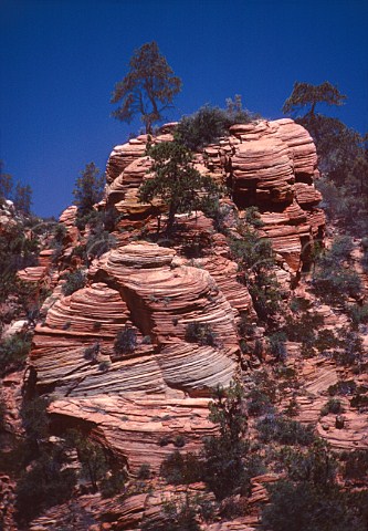Rock formations Zion National Park Utah