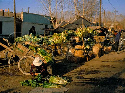 Small roadside vegetable market Golmud  Quinghai Province China