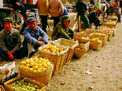 Selling apples Dunhuang market Gansu Province   China