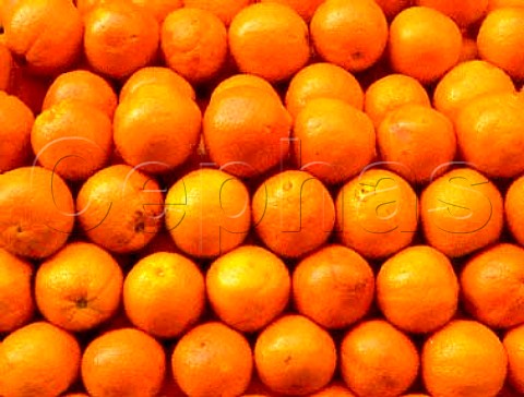 Navel Oranges on sale in the street market   on Rue Poncelet near Place des Ternes  Paris France