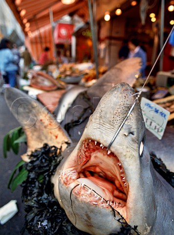 Shark on display in a street market on Rue Poncelet  near Place des Ternes Paris  France