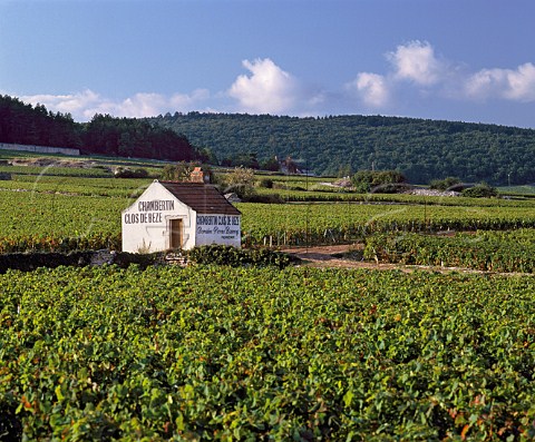 Hut of Pierre Damoy in ChambertinClos de Bze   vineyard GevreyChambertin Cte dOr    Cte de Nuits Grand Cru