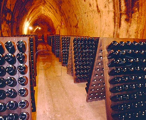 Champagne in pupitres in the cellars of Ren Prvot   VillersAllerand Marne France