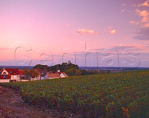 Evening sky over Morey StDenis with Les Bouchots   Grand Cru vineyard in the foreground Cote de Nuits