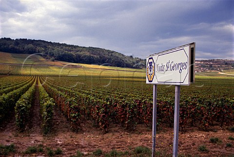 Road sign on the N74 south of   NuitsStGeorges Cte dOr France