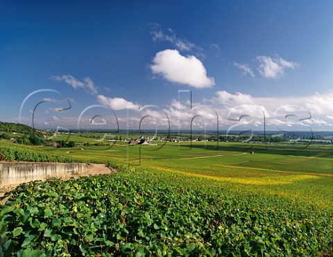 View over Les Rouges du Bas vineyard to les Poulaillres Grands Echzeaux and Clos de Vougeot vineyards VosneRomane Cte dOr France  Cte de Nuits