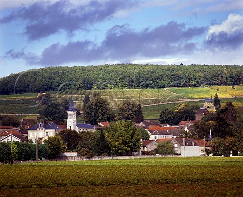 View over commune vineyards of AloxeCorton with the Grand Crus on the Hill of Corton beyond   Cte dOr France   Cte de Beaune