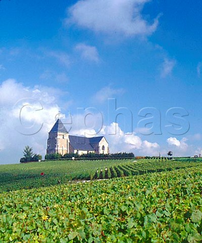 Church among the vineyards near Chavot to the south   of Epernay Marne France     Champagne