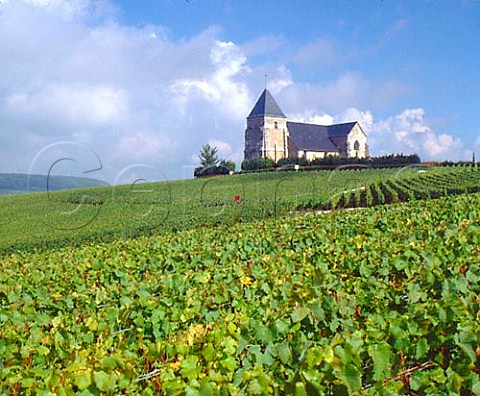 Church among the vineyards near Chavot to the south   of Epernay Marne France     Champagne
