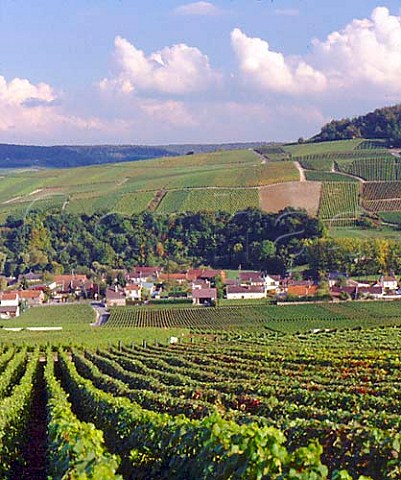 Champagne vineyards surrounding the village of   Mancy south of pernay Marne France