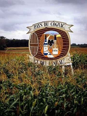 Cognac sign in maize field at StGenisdeSaintonge CharenteMaritime France