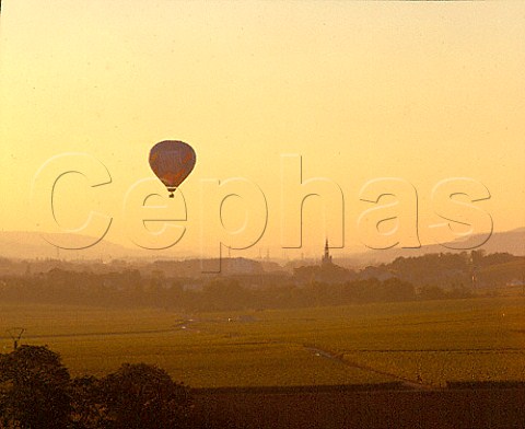 Hotair balloon above vineyards at Ay Marne   France    Champagne