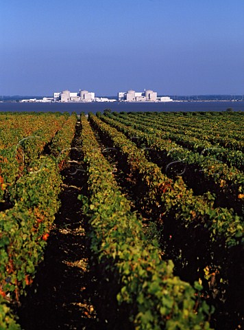 Vineyards of Chteau Meyney and EDF Centrale   Nucleaire du Blayais across the Gironde Estuary   StEstphe Gironde France  Mdoc  Bordeaux