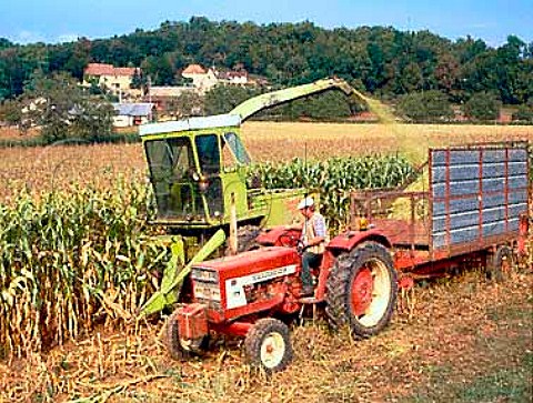 Harvesting maize at CalviacenPerigord in the  Dordogne valley France