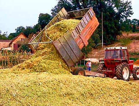Unloading corn after harvesting at   CalviacenPerigord Dordogne France