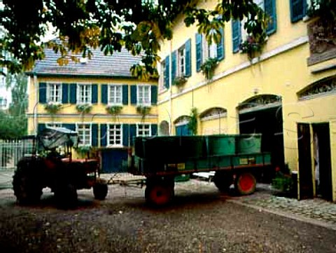 Trailerload of grapes arriving at Weingut Heyl zu   Herrnsheim in the center of Nierstein          Rheinfront