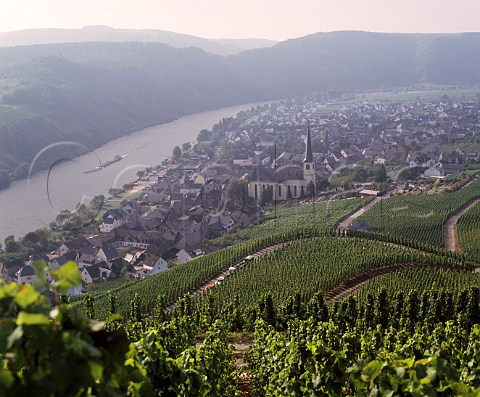 Looking upstream towards Krv village past Kirchlay einzellage with Paradies einzellage in the  distance  Germany  Mosel