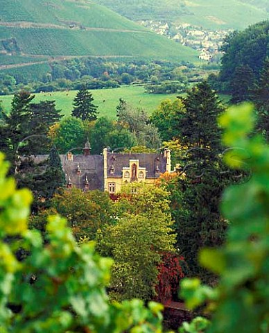 Weingut Maximin Grunhaus seen from its Domherrenberg Einzellage with Kasel village in the distance  Ruwer Germany   Mosel