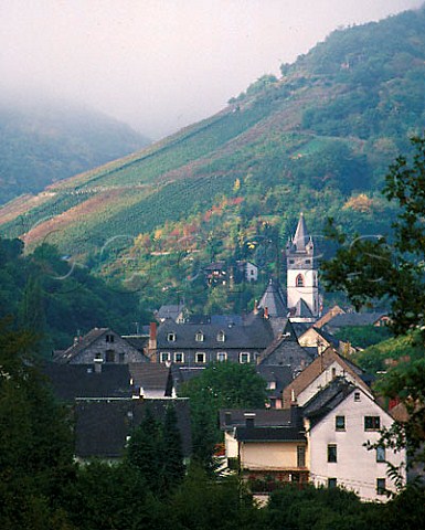 Lennenborn and Schloss Stahlberg vineyards above    Steeg near Bacharach Germany  Mittelrhein