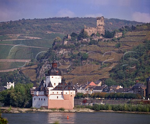 Pfalz Castle on an island in the Rhine  built in   14th Century by the Lords of Gutenfels Castle to   collect tolls from passing boats   Burg Gutenfels vineyard is below the old castle   Kaub Germany    Mittelrhein