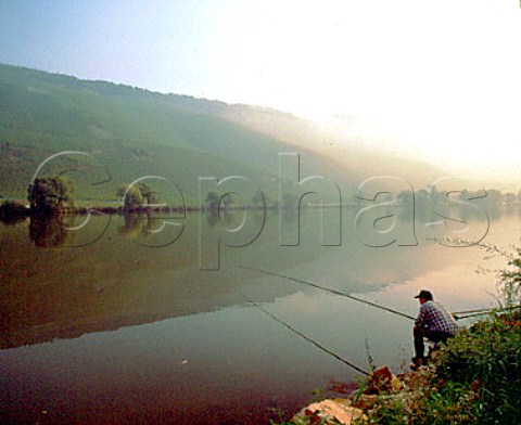 Fishing on the Mosel River opposite the  Sonnenuhr vineyard Wehlen Germany