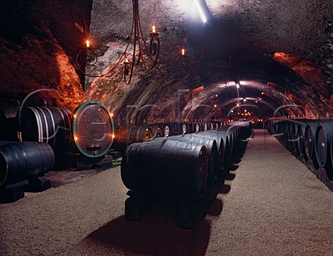 Barrel fermentation cellar of Schloss Johannisberg Johannisberg Germany  Rheingau