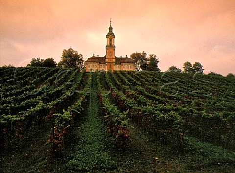 Birnau Basilika above its vineyard near berlingen   Baden Germany   Bodensee