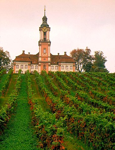 Birnau Basilika above its vineyard near berlingen   Baden Germany  Bodensee