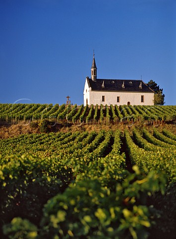 Church at Abenheim west of Worms  Hessen Germany  Liebfrauenmorgen Grosslage Rheinhessen