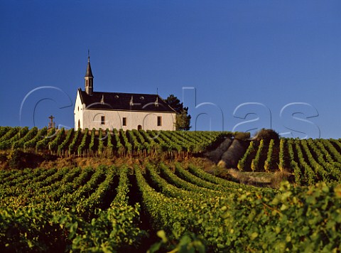 Church at Abenheim west of Worms  Hessen Germany  Liebfrauenmorgen Grosslage Rheinhessen