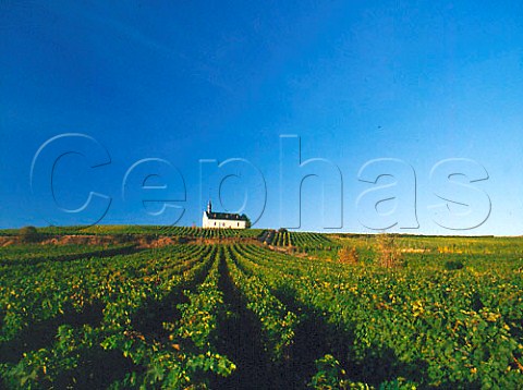 Church at Abenheim west of Worms Germany    Liebfrauenmorgen Grosslage Rheinhessen