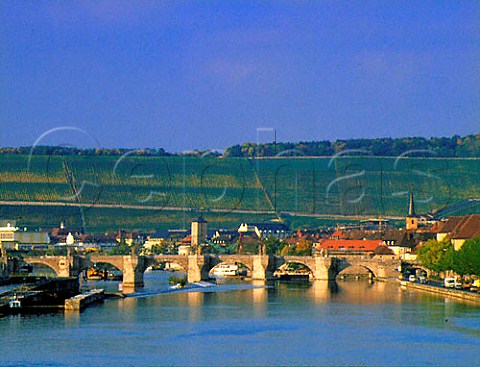 Stein vineyard beyond the Old Bridge over the   River Main Wrzburg Bavaria Germany   Franken