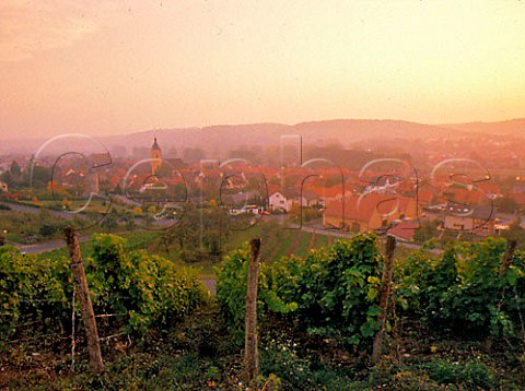 Vineyards at Sommerhausen south of Wrzburg    Franken Germany  Teufelstor Grosslage