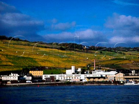 AsbachUralt brandy distillery in Rudesheim with   Rosengarten vineyard above                          Rheingau